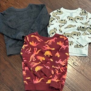 Cat & Jack Dinosaur Print Kids Sweatshirt - Red, Gray, Cream